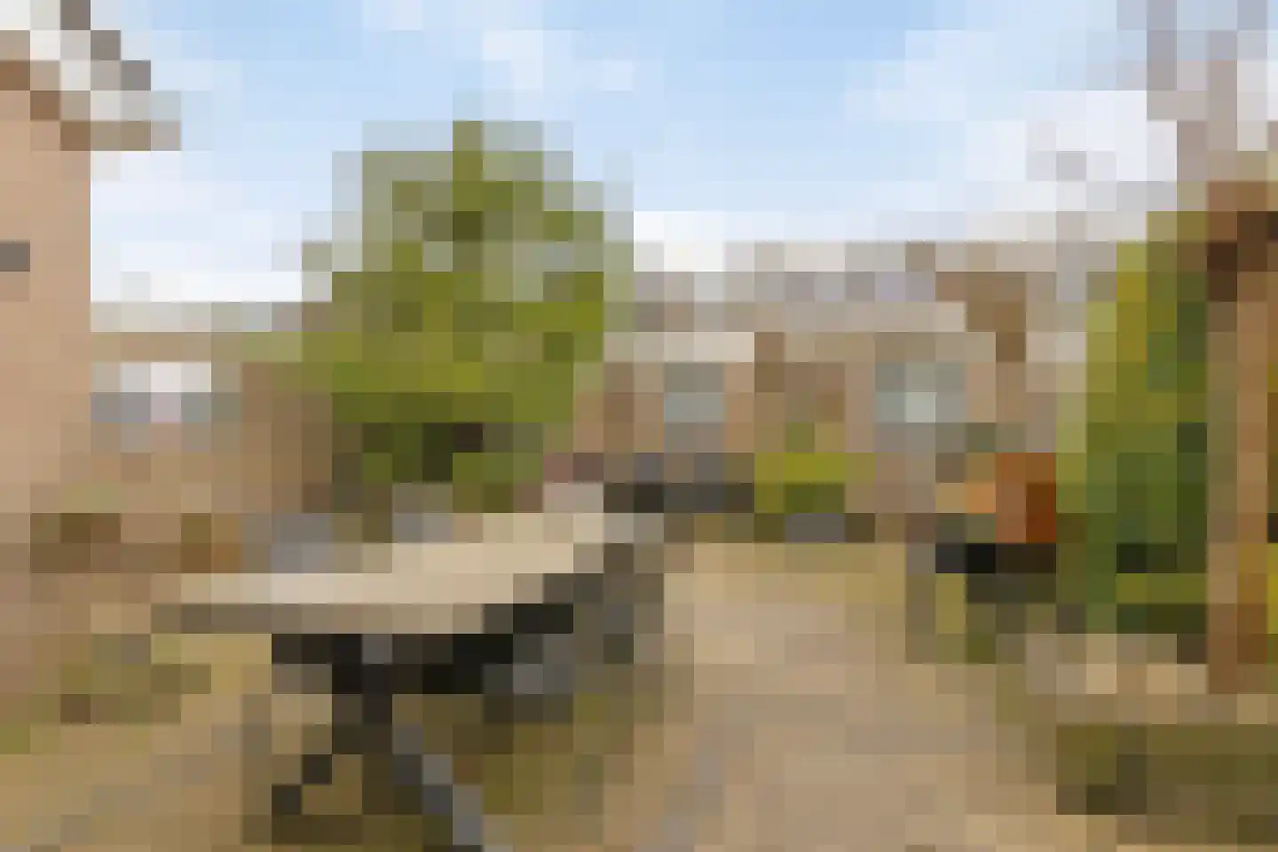 Elzenlaan 59 Heerhugowaard thumbnail 5