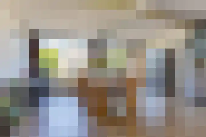 Elzenlaan 6 Heerhugowaard thumbnail 12