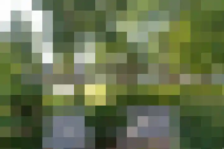 Elzenlaan 6 Heerhugowaard thumbnail 41