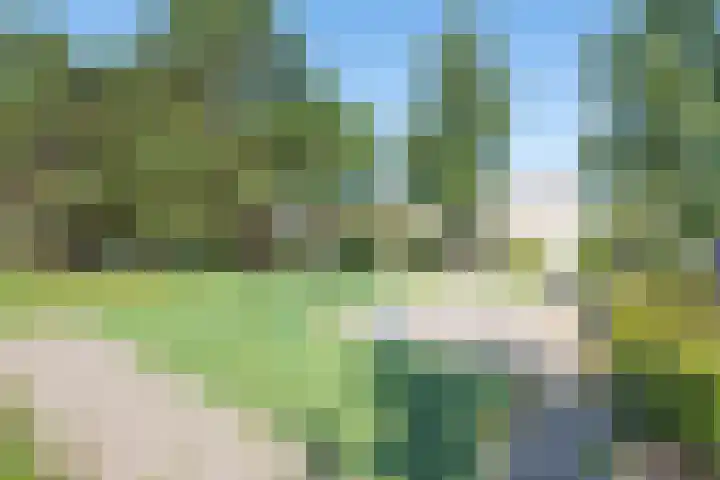 Elzenlaan 6 Heerhugowaard thumbnail 43