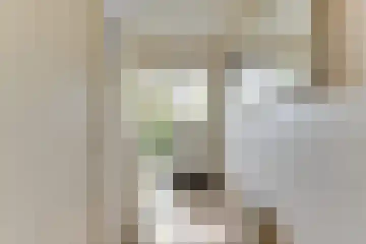 Elzenlaan 6 Heerhugowaard thumbnail 6