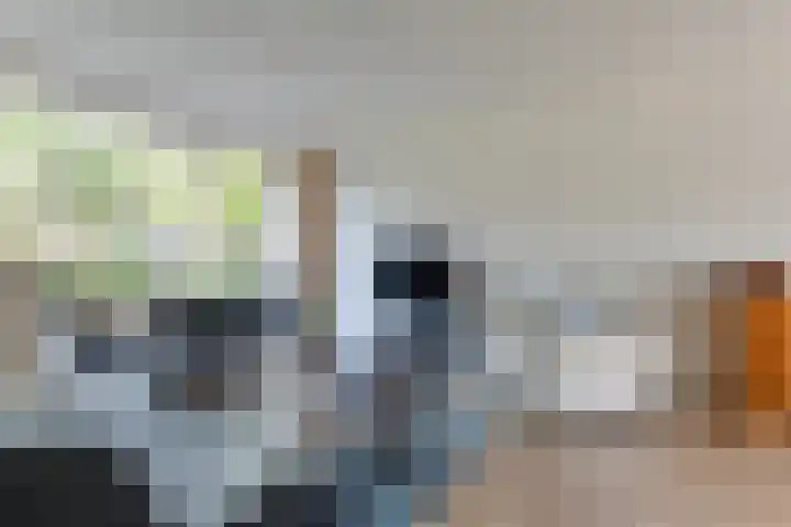 Elzenlaan 6 Heerhugowaard thumbnail 8