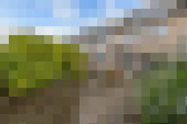 Elzenlaan 63 Heerhugowaard thumbnail 26