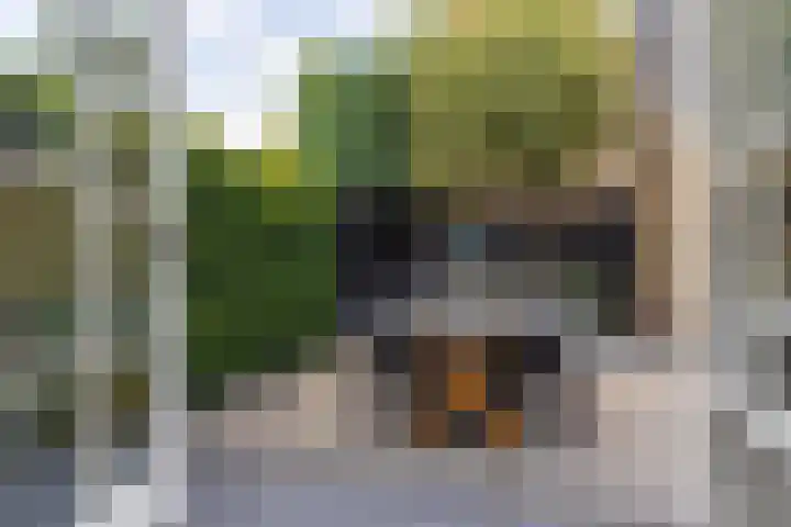 Elzenlaan 64 Hilversum thumbnail 32