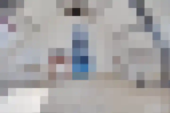 Elzenlaan 64 Hilversum thumbnail 46