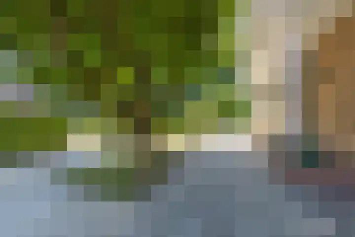 Elzenlaan 64 Hilversum thumbnail 52