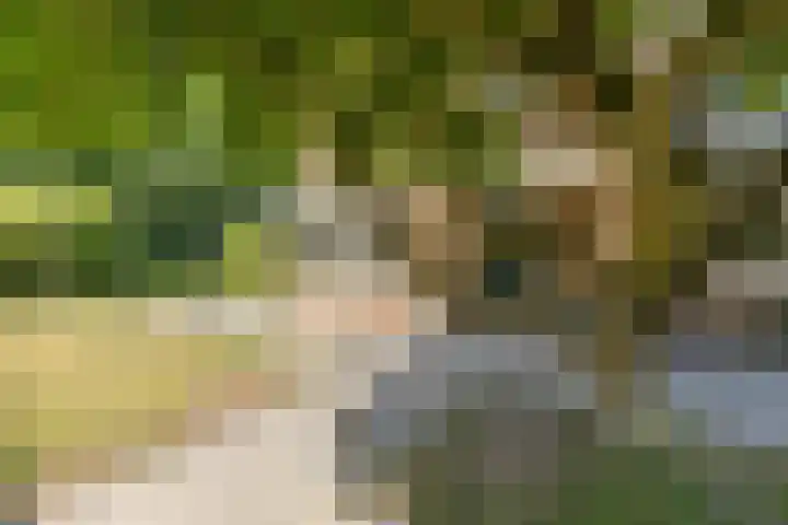 Elzenlaan 64 Hilversum thumbnail 53