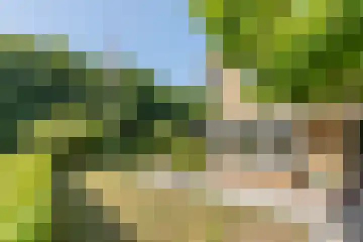 Elzenlaan 64 Hilversum thumbnail 54