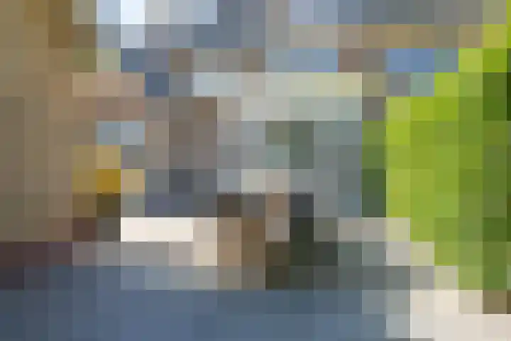 Elzenlaan 64 Hilversum thumbnail 57