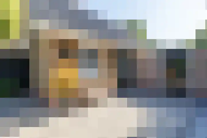 Elzenlaan 64 Hilversum thumbnail 58