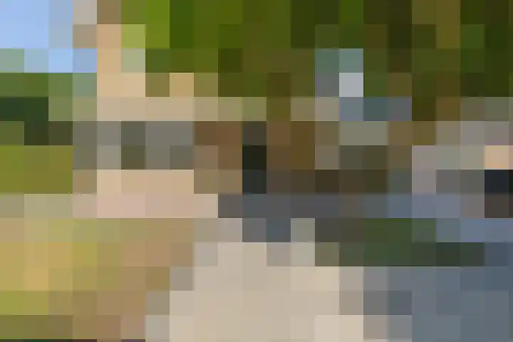Elzenlaan 64 Hilversum thumbnail 6