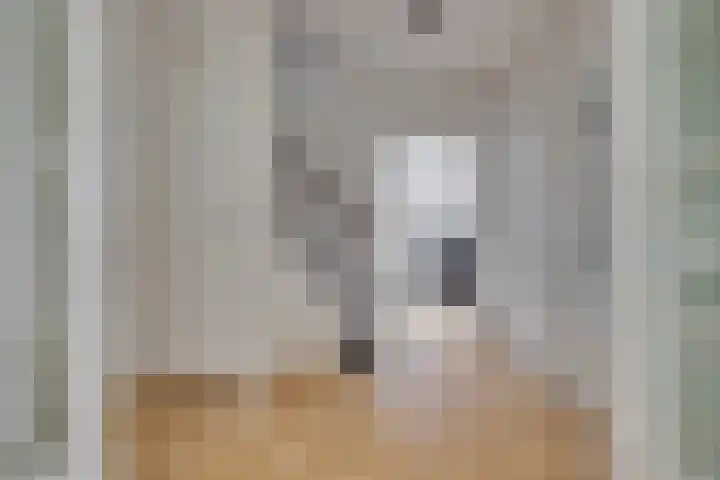 Elzenlaan 64 Hilversum thumbnail 9