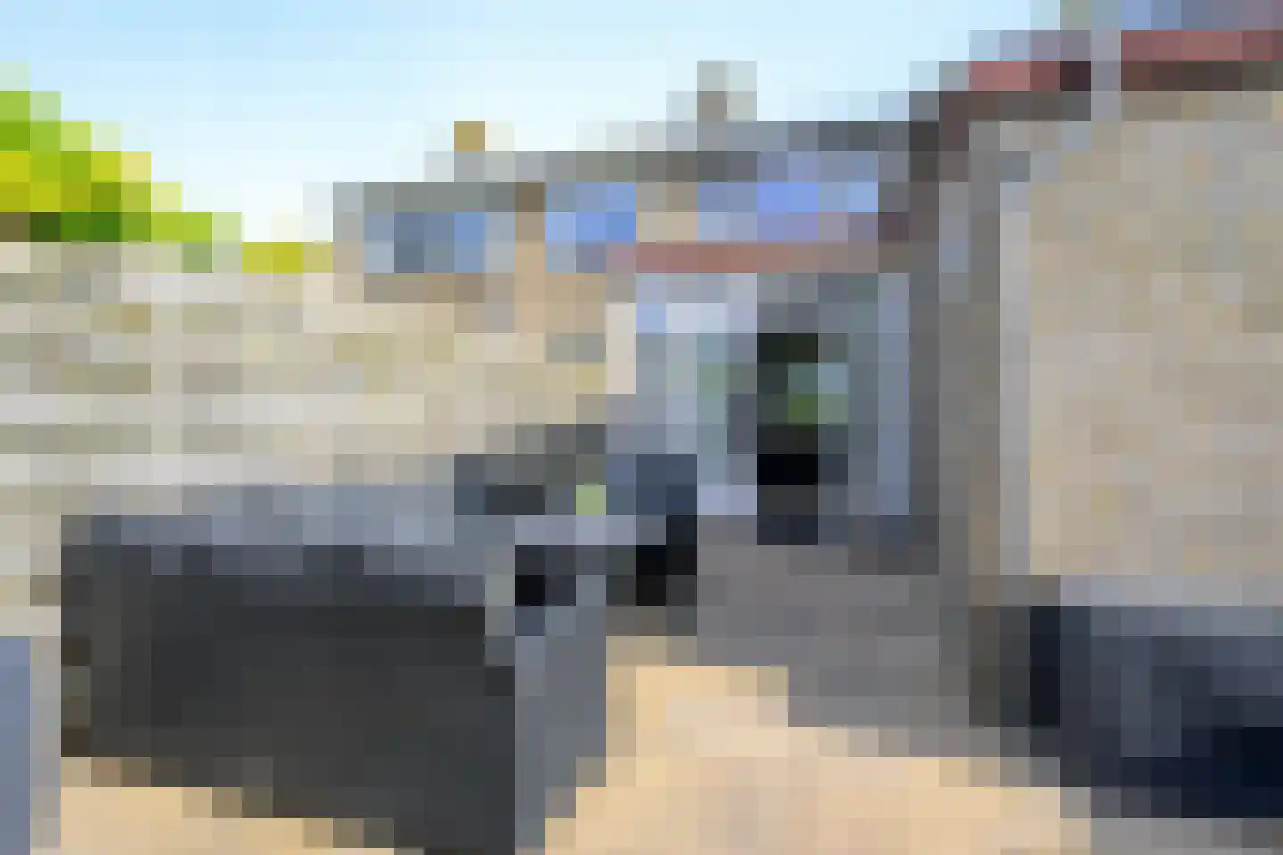 Elzenlaan 64 Sint Pancras thumbnail 15