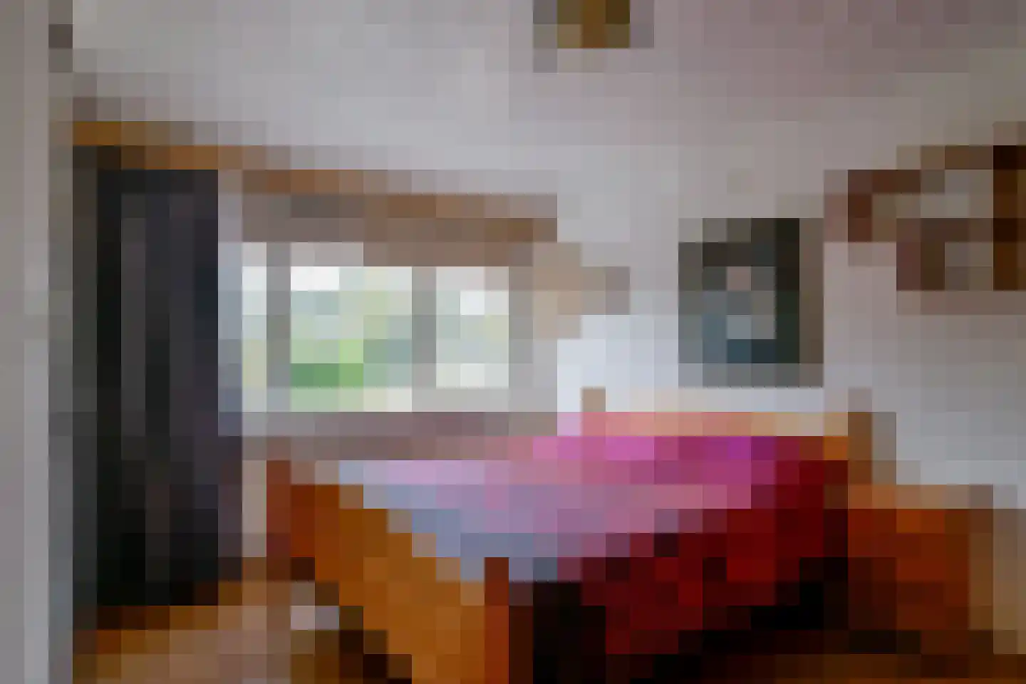Elzenlaan 64 Sint Pancras thumbnail 19