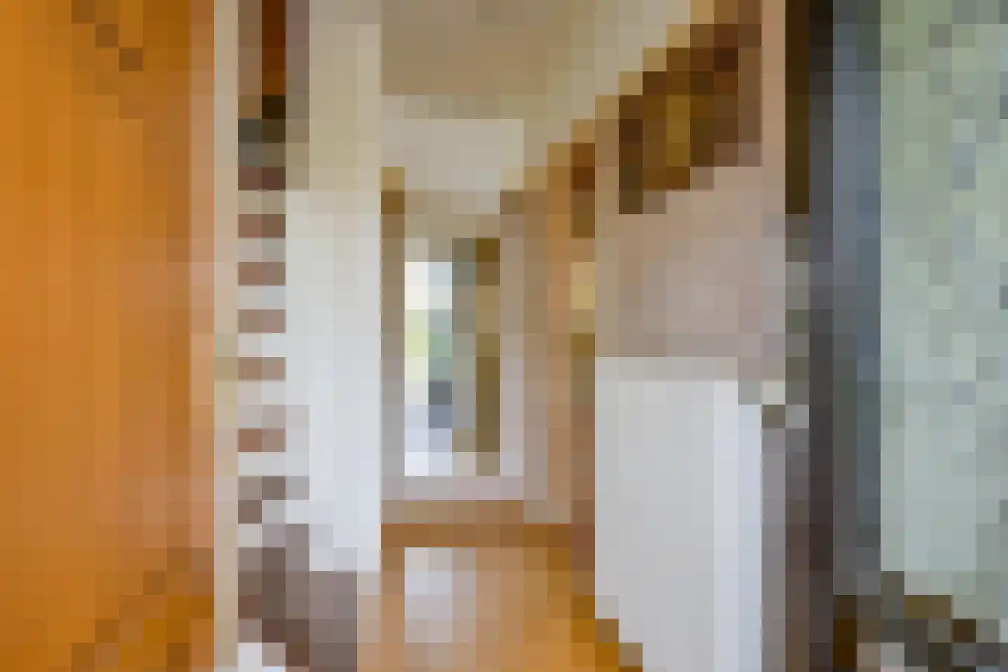 Elzenlaan 64 Sint Pancras thumbnail 4