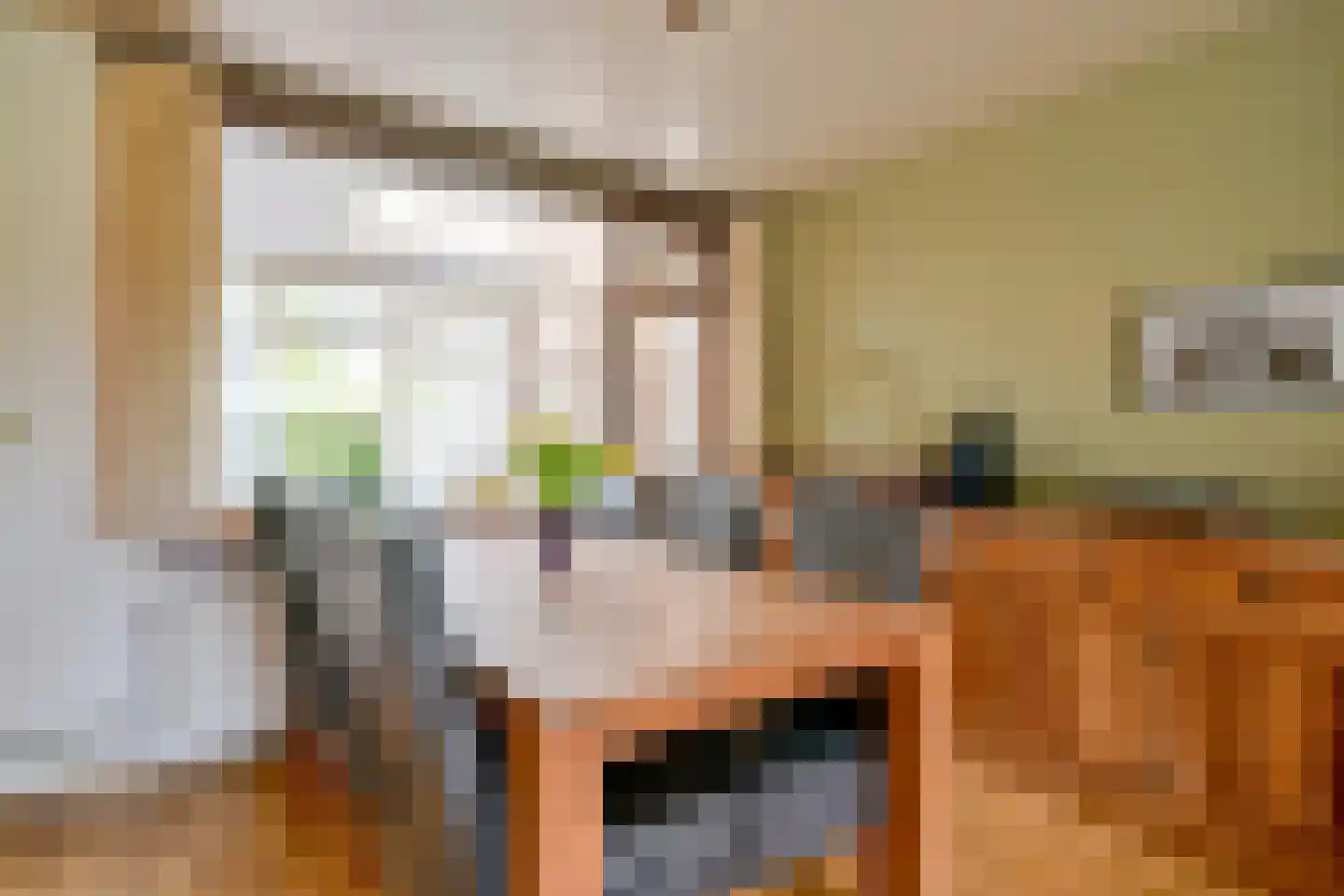 Elzenlaan 64 Sint Pancras thumbnail 5
