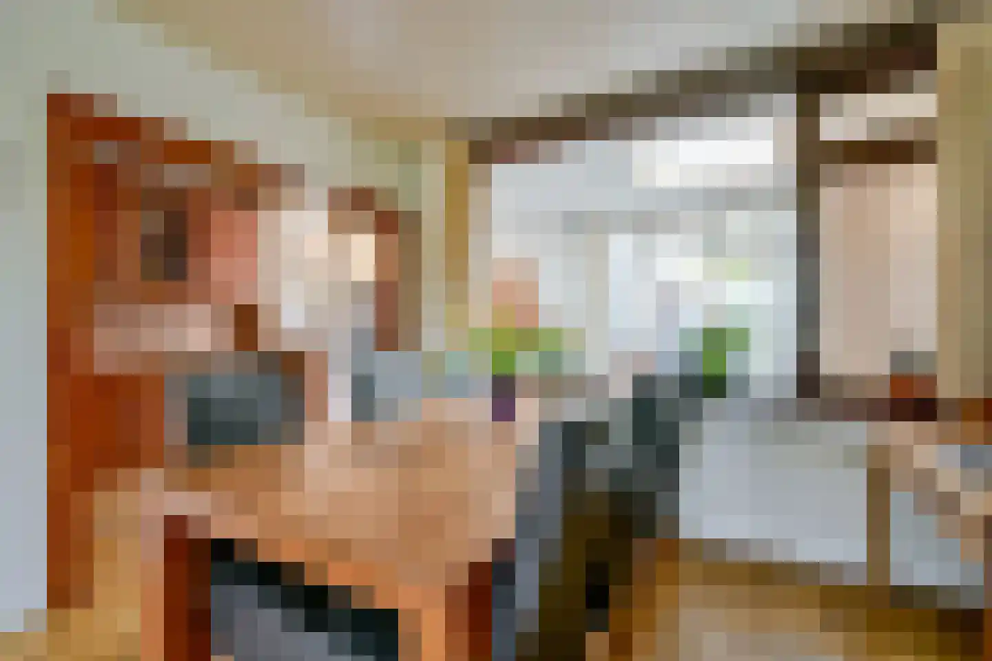 Elzenlaan 64 Sint Pancras thumbnail 6