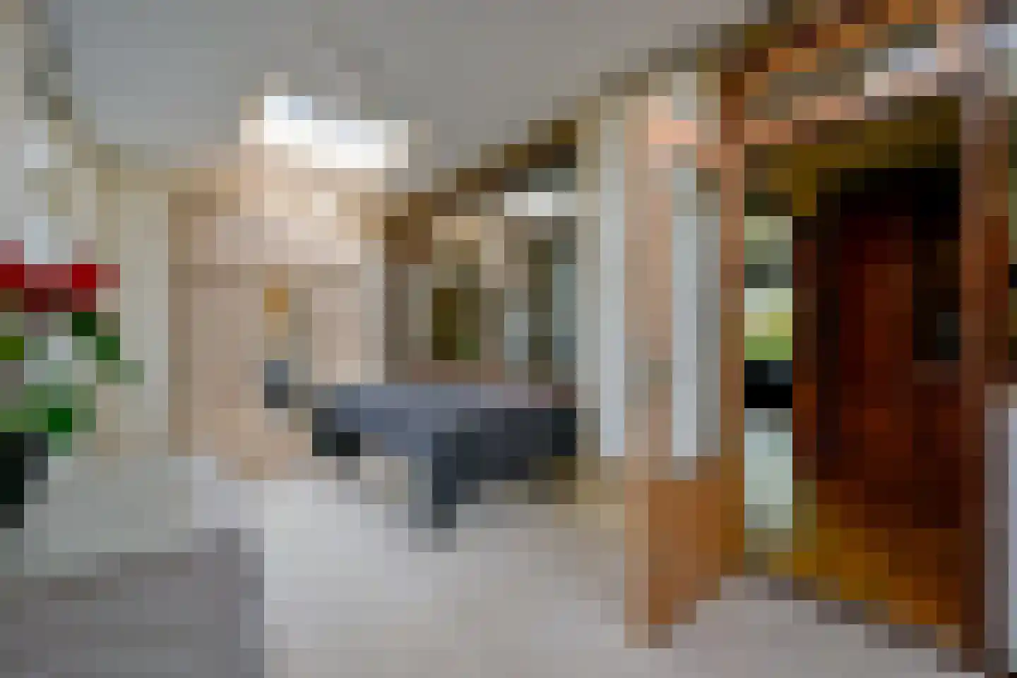 Elzenlaan 64 Sint Pancras thumbnail 8