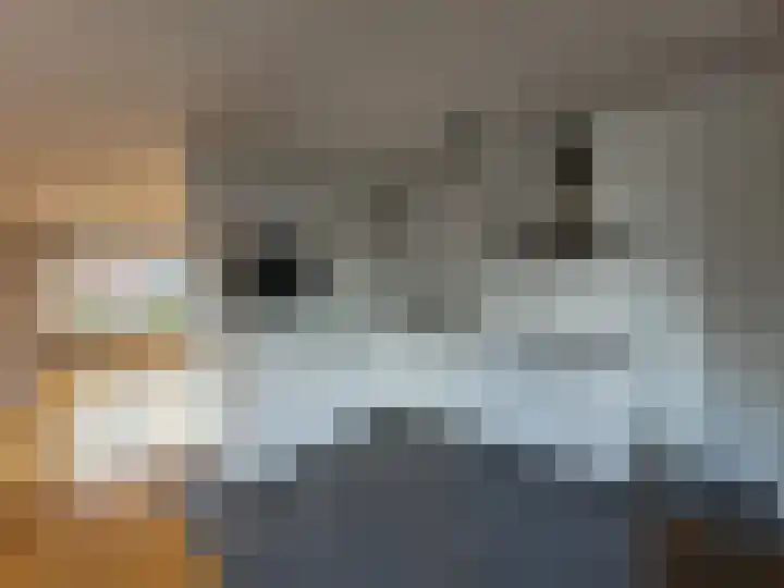 Elzenlaan 70 Grootebroek thumbnail 4
