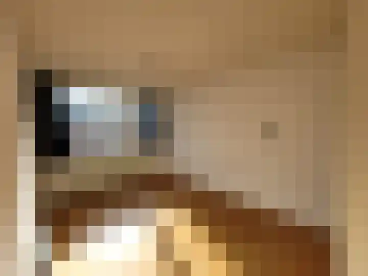 Elzenlaan 70 Grootebroek thumbnail 7