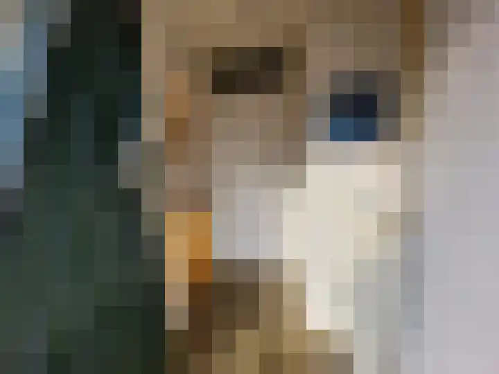Elzenlaan 70 Grootebroek thumbnail 8