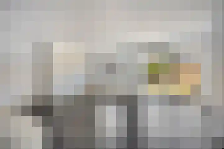 Elzenlaan 73 Heerhugowaard thumbnail 10