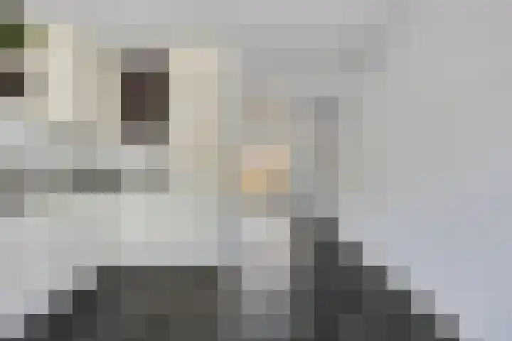 Elzenlaan 73 Heerhugowaard thumbnail 15
