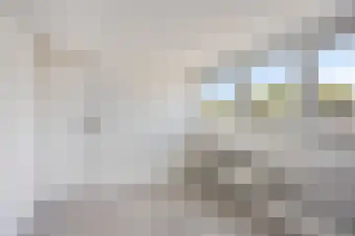 Elzenlaan 73 Heerhugowaard thumbnail 34