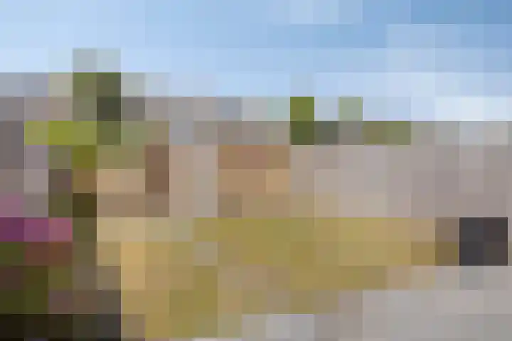 Elzenlaan 73 Heerhugowaard thumbnail 37