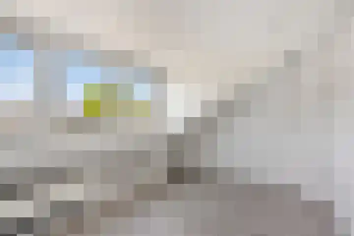 Elzenlaan 73 Heerhugowaard thumbnail 5