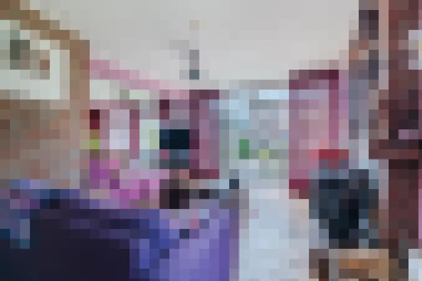 Elzenlaan 8 Smilde thumbnail 11