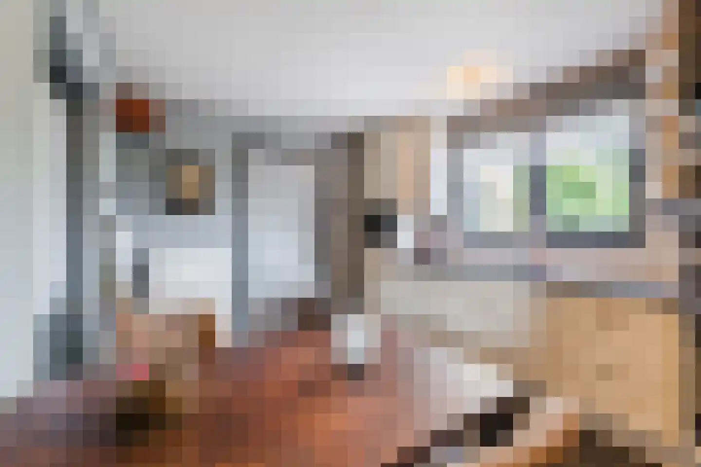 Elzenlaan 8 Smilde thumbnail 17