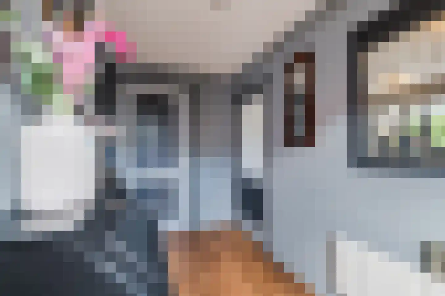 Elzenlaan 8 Smilde thumbnail 19