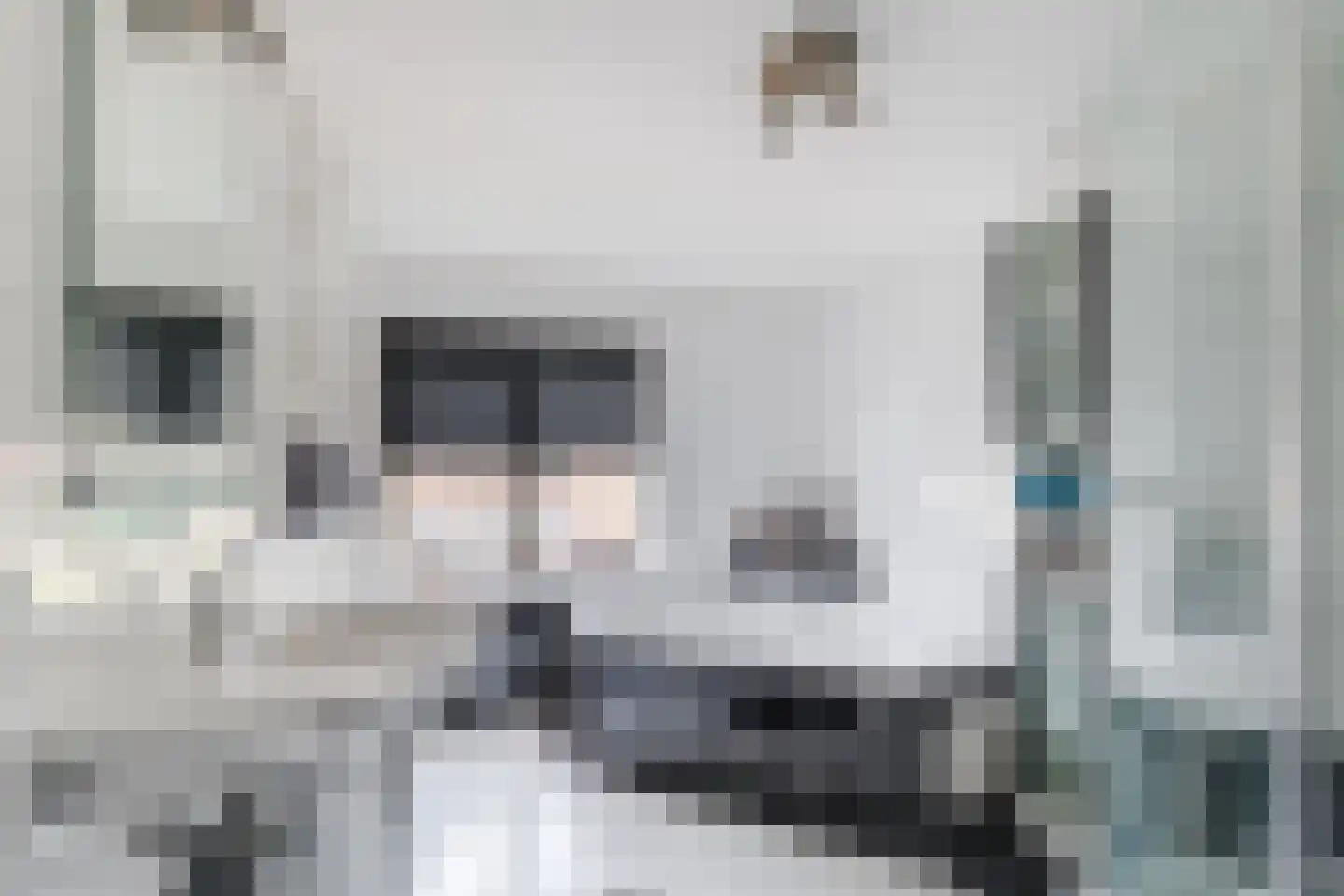 Elzenlaan 8 Smilde thumbnail 33