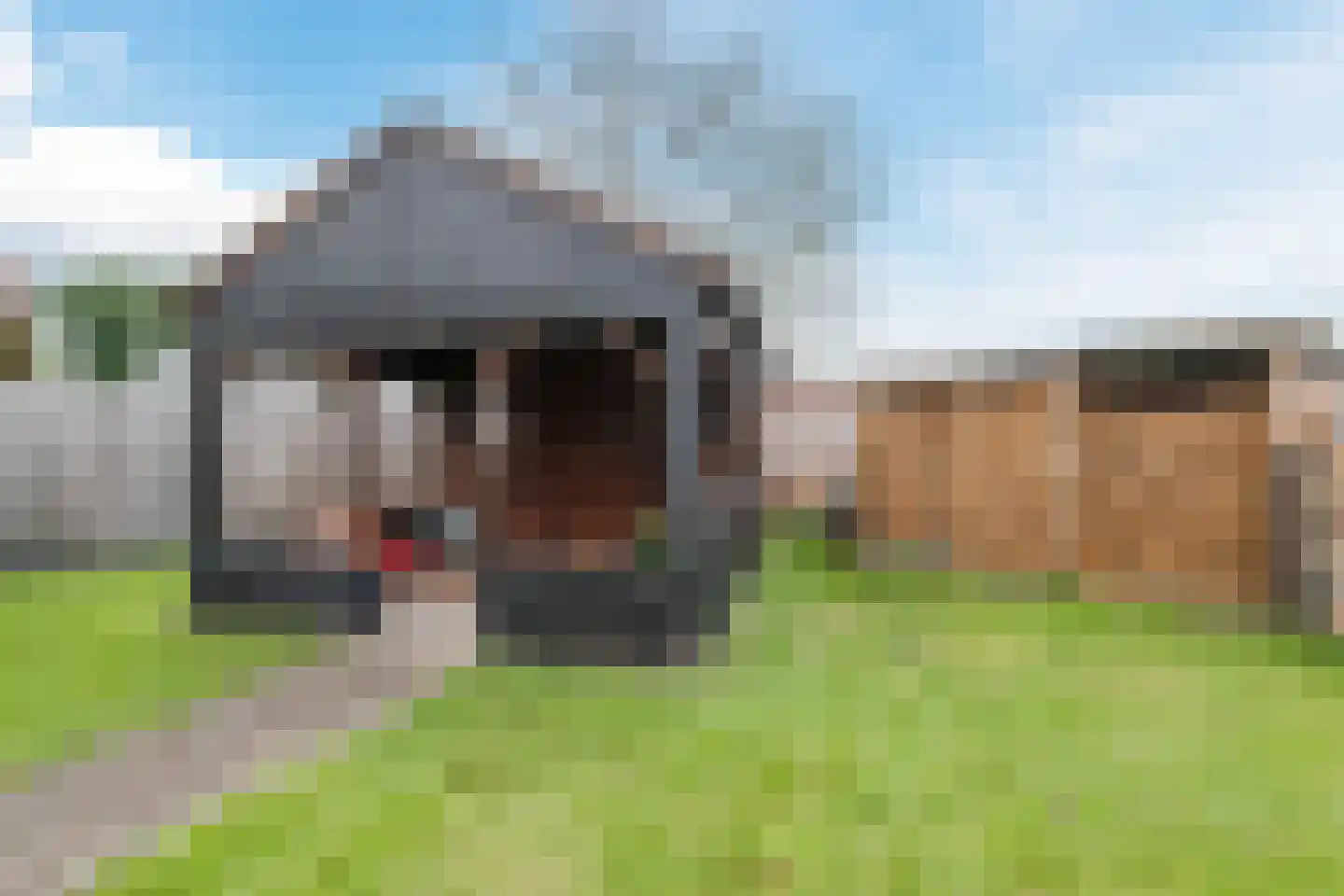 Elzenlaan 8 Smilde thumbnail 38