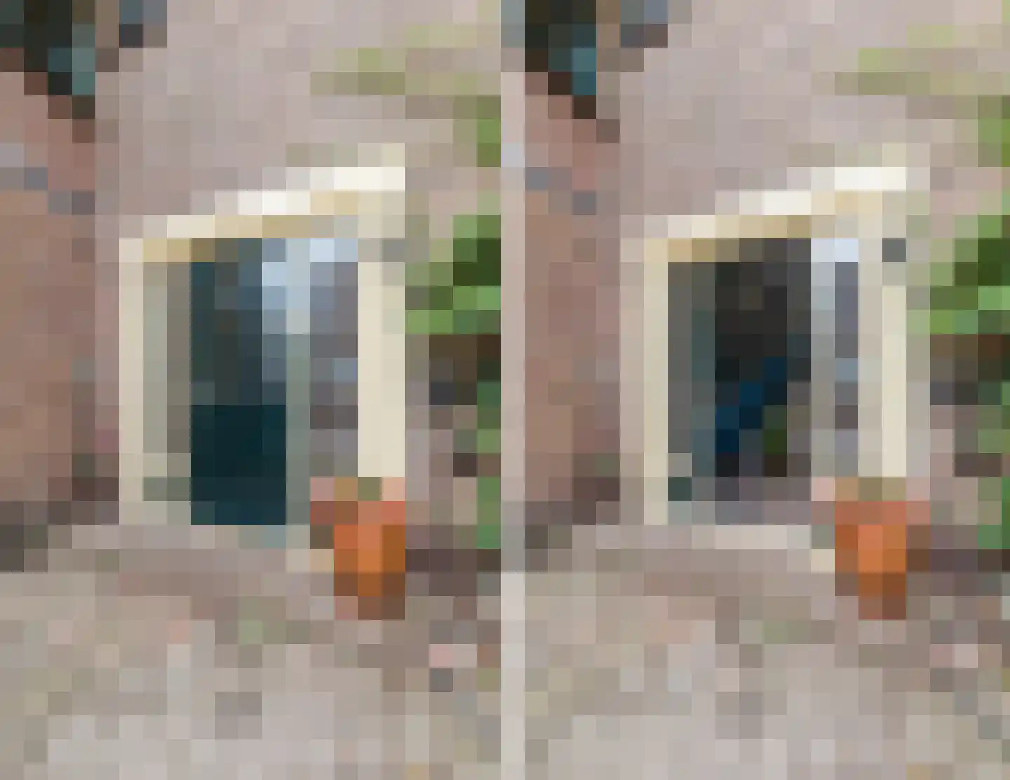 Elzenlaan 8 Smilde thumbnail 43