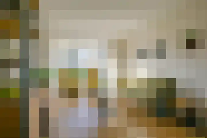 Elzenlaan 81 Heerhugowaard thumbnail 6