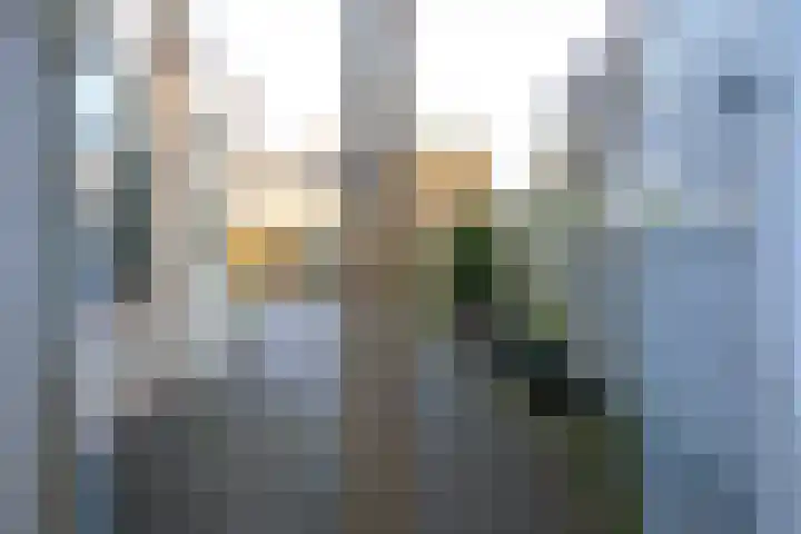 Elzenlaan 81 Heerhugowaard thumbnail 7