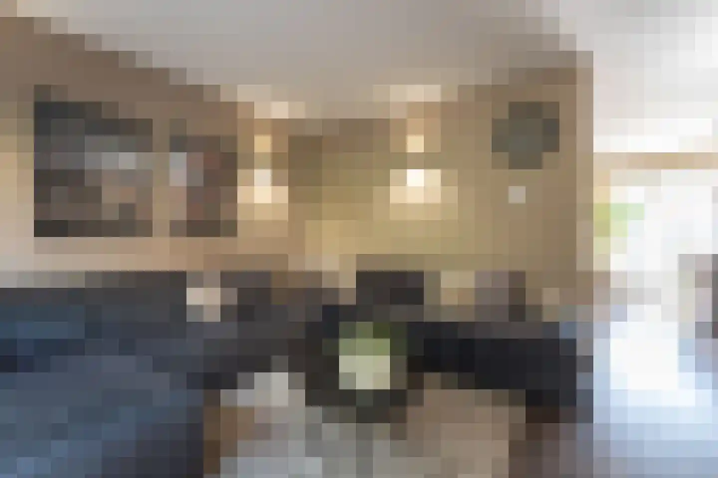 Elzenlaan 9 Winschoten thumbnail 14