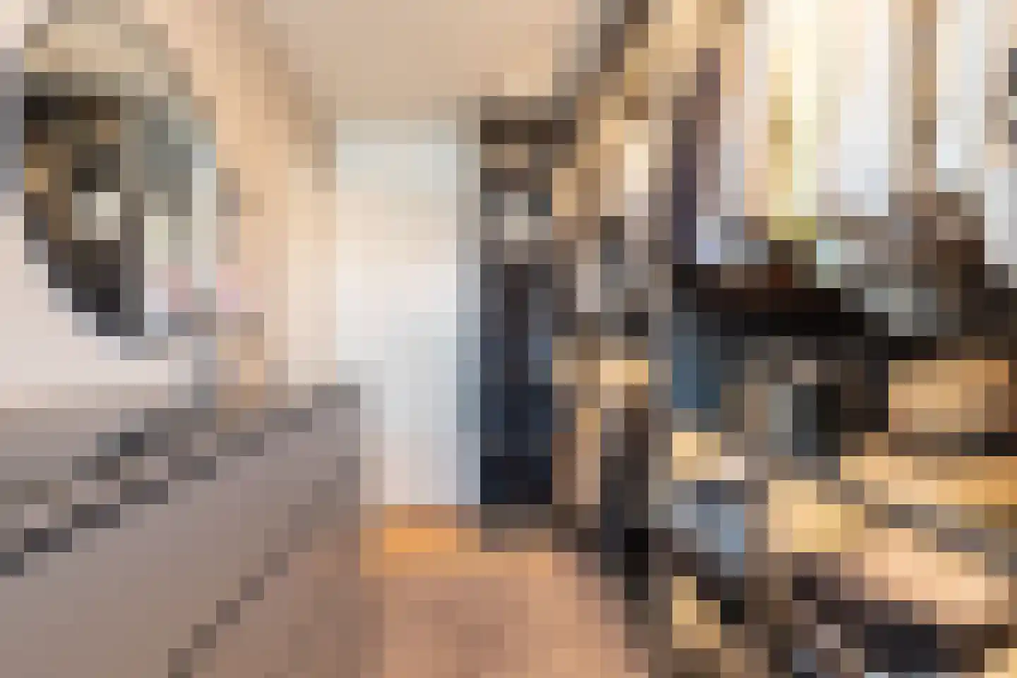 Elzenlaan 9 Winschoten thumbnail 33