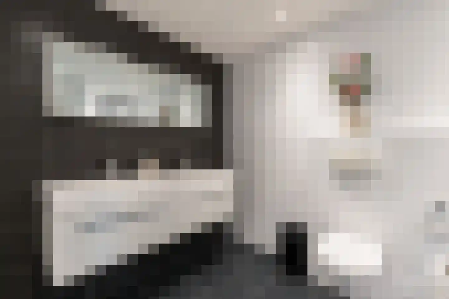 Elzenlaan 9 Winschoten thumbnail 36