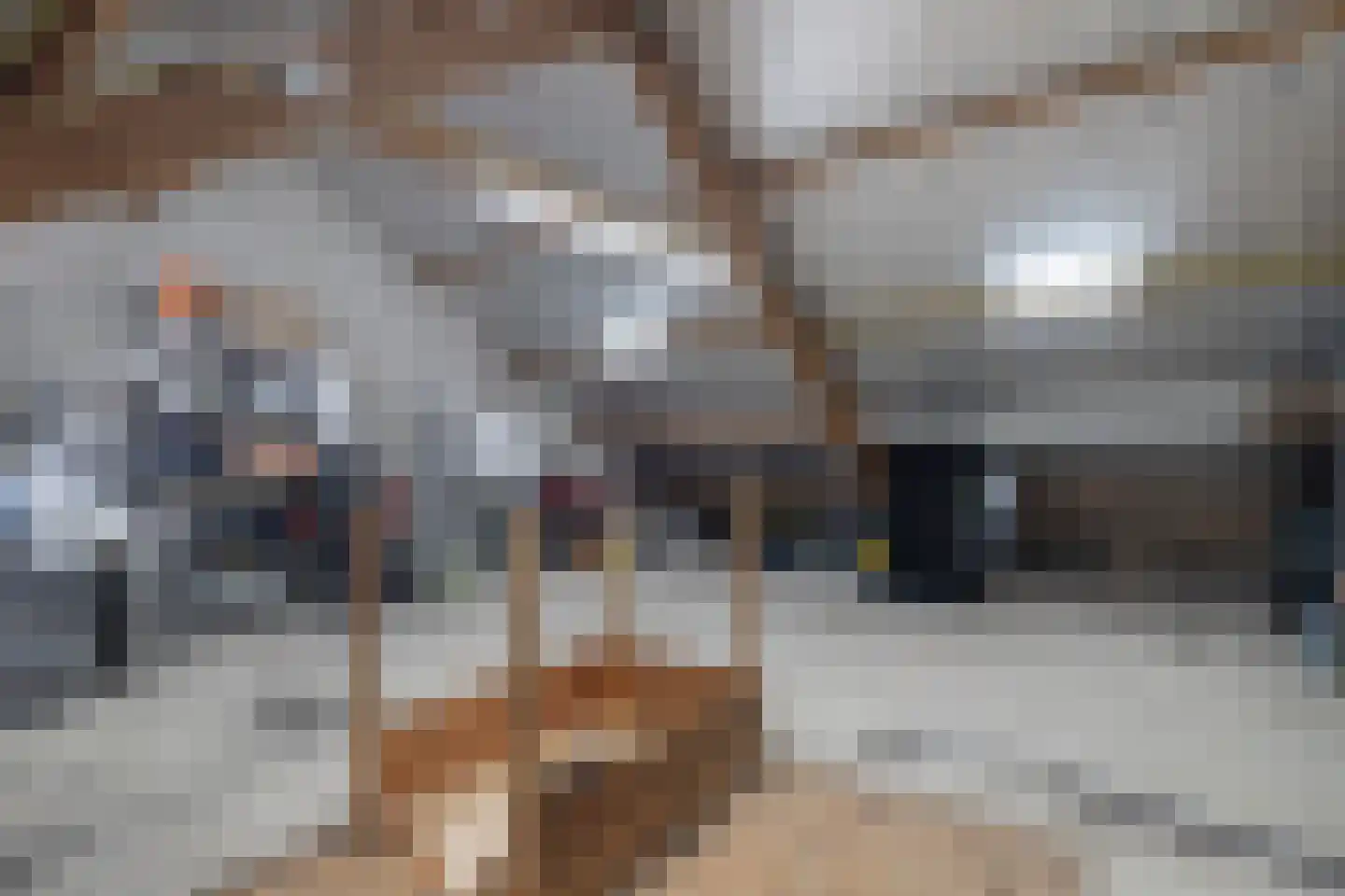 Elzenlaan 9 Winschoten thumbnail 41