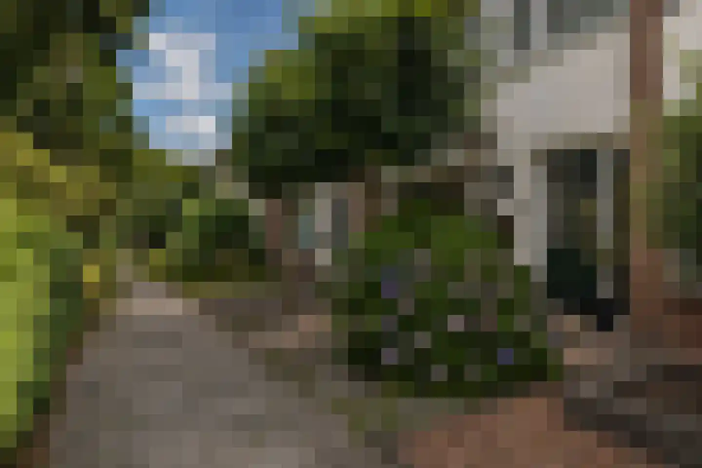 Elzenlaan 9 Winschoten thumbnail 56