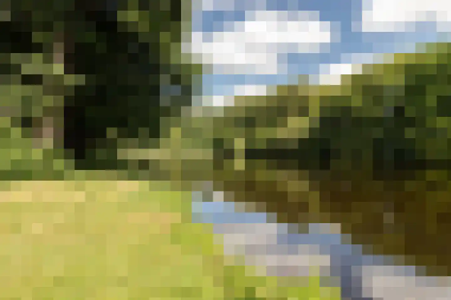 Elzenlaan 9 Winschoten thumbnail 59