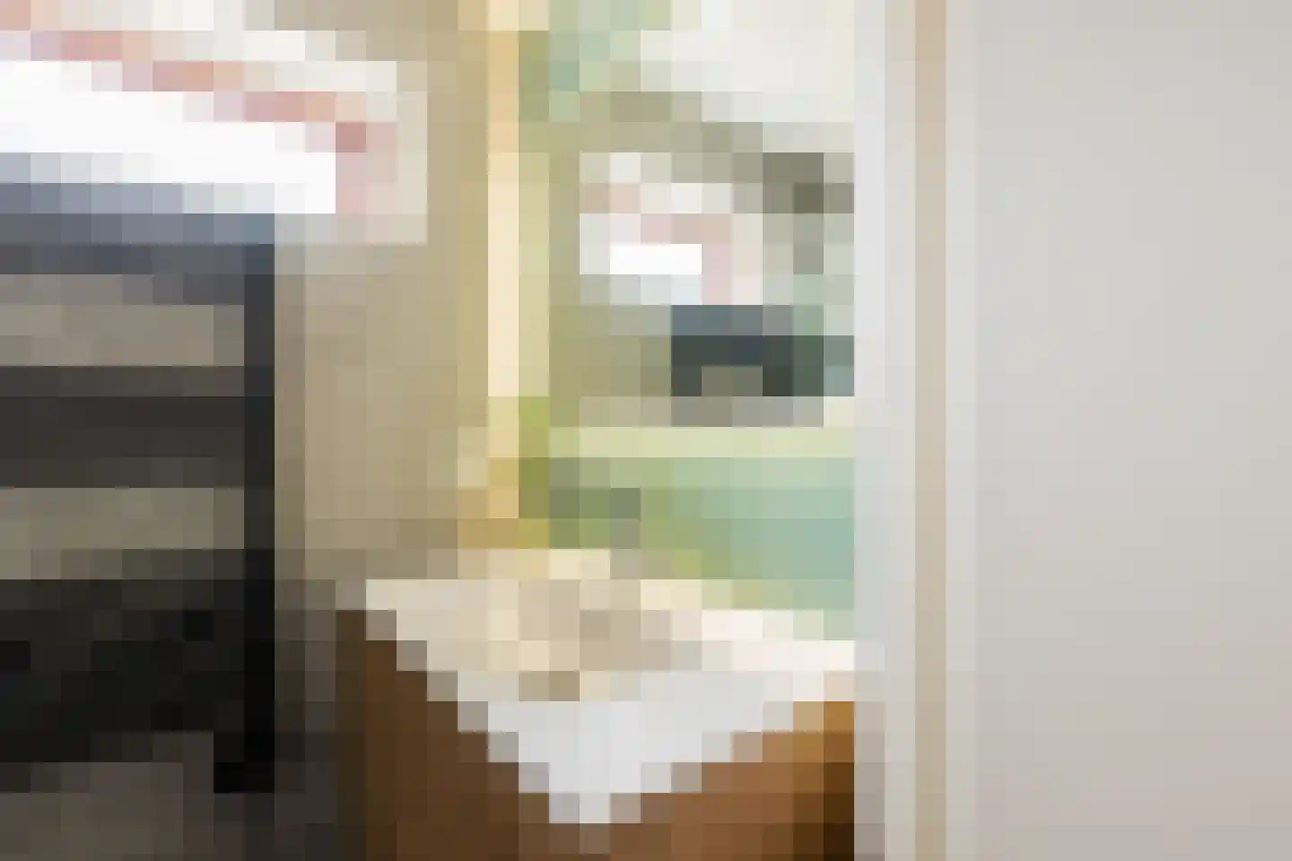 Elzenlaan 99 Groningen thumbnail 30