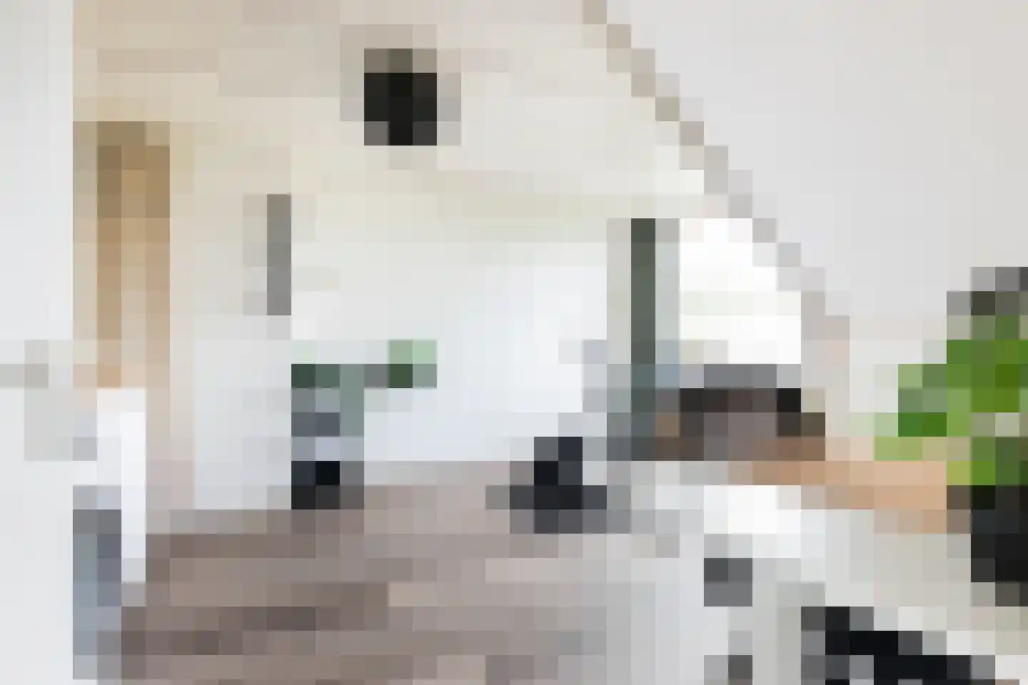Elzenlaan 99 Groningen thumbnail 35