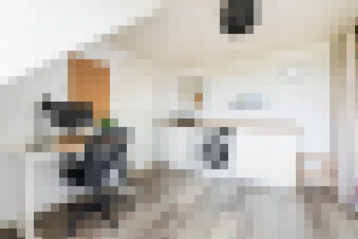 Elzenlaan 99 Groningen thumbnail 38