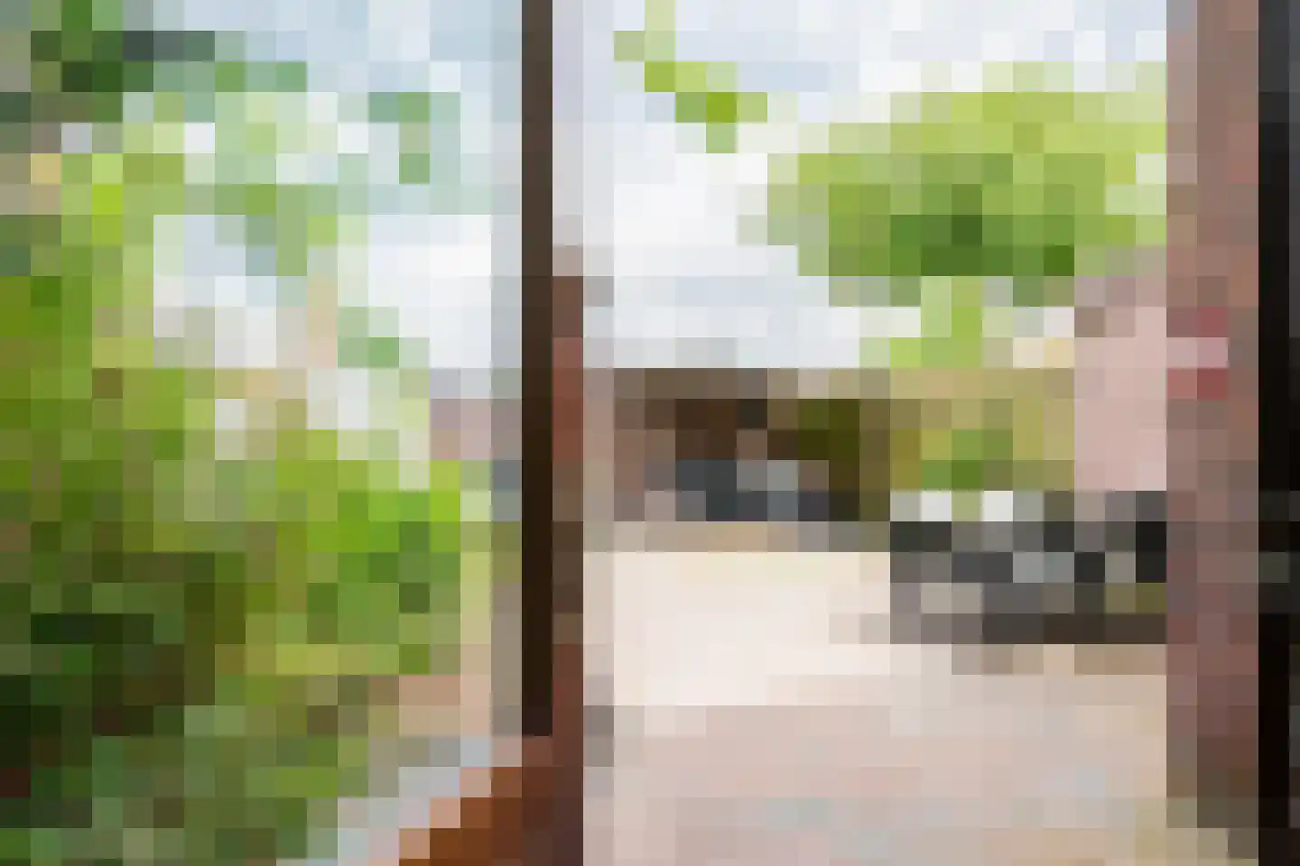 Elzenlaan 99 Groningen thumbnail 39