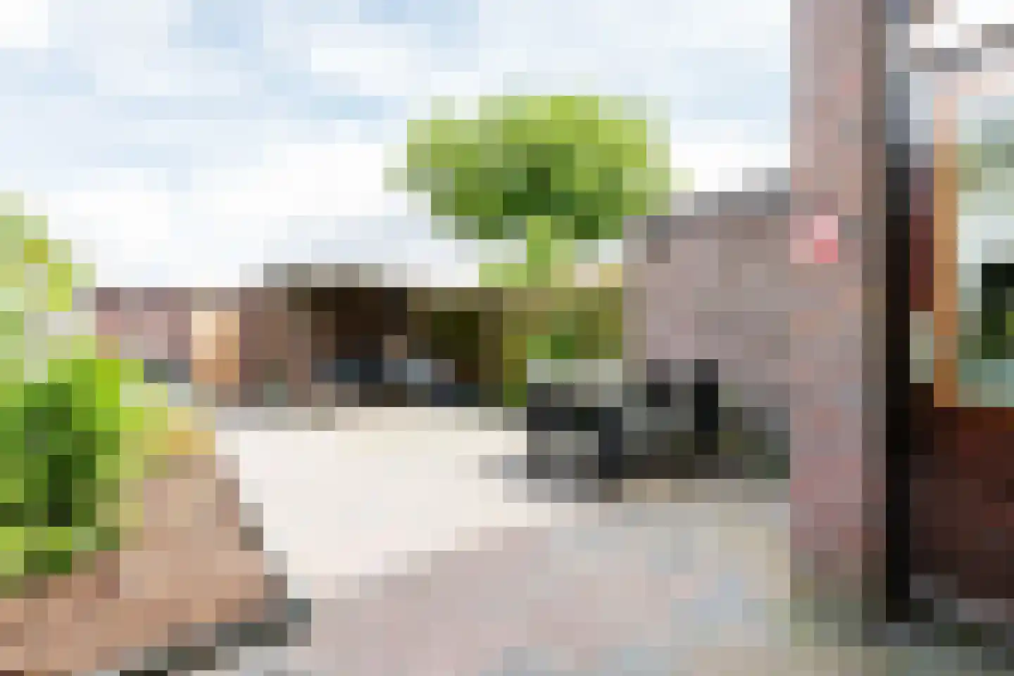 Elzenlaan 99 Groningen thumbnail 4