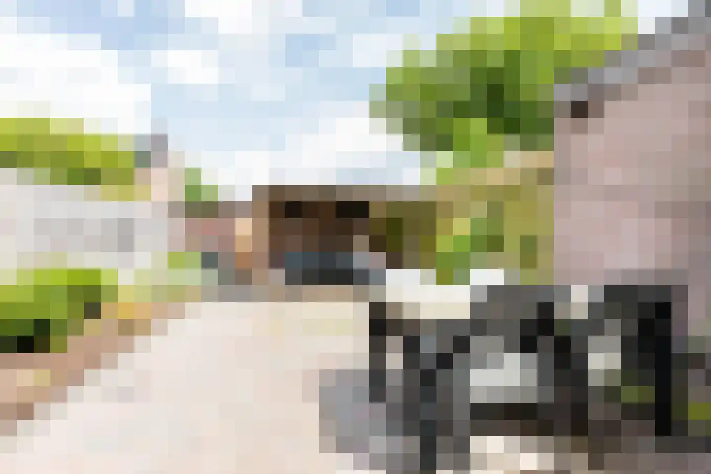 Elzenlaan 99 Groningen thumbnail 40